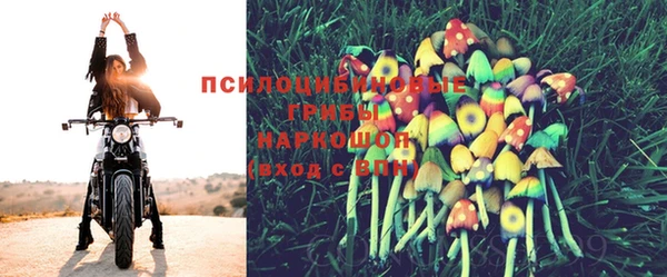 PSILOCYBIN Киреевск