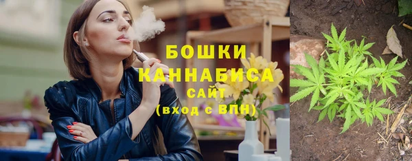 ПСИЛОЦИБИНОВЫЕ ГРИБЫ Каменногорск