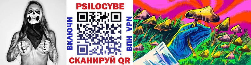 кракен как зайти Михайловка Галлюциногенные грибы Magic Shrooms